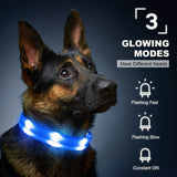 Light up Dog Collars - USB Rechargeable Reflective Glowing Puppy Collar, Adjustable LED Pet Collar Lights for Night Dog Walking (Large, Blue)