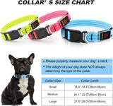 Light up Dog Collars - USB Rechargeable Reflective Glowing Puppy Collar, Adjustable LED Pet Collar Lights for Night Dog Walking (Large, Blue)